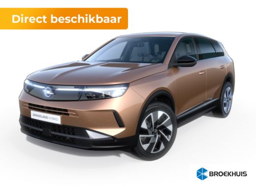 Opel Grandland 1.2 Turbo Hybrid Edition | Dak in carrosseriekleur | Technologie plus pakket