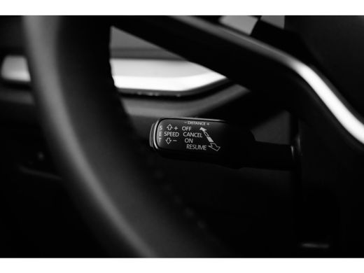 Skoda Octavia Combi Business Edition | Achteruitrijcamera | Chromen grille | Cruise control met speedlimiter ActivLease financial lease