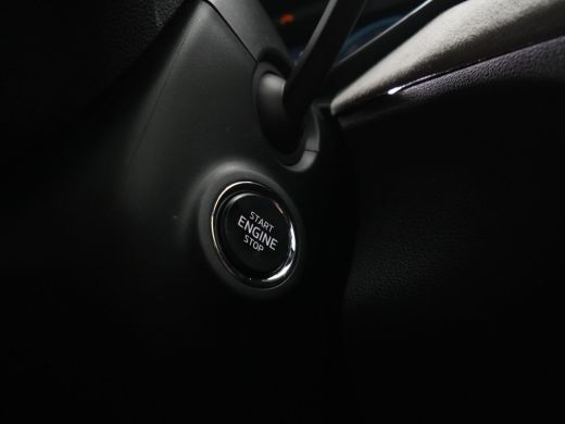 Skoda Kamiq 1.0 TSI 115pk DSG Business Edition Panorama Navigatie Camera Keyless 171 ActivLease financial lease
