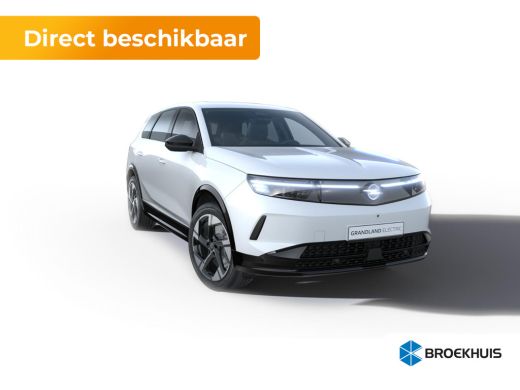 Opel Grandland Business Edition - Electric | Achteruitrijcamera | Draadloze telefoonlader (Inductie) | Elektroni... Opel Grandland Business Edition - Electric | Achteruitrijcamera | Draadloze telefoonlader (Inductie) | Elektroni...