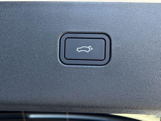 Volvo  EX30 Twin Motor Performance Ultra 69kWh Experience-pakket | ACC | Pine interieur | Extra getint glas |... ActivLease financial lease
