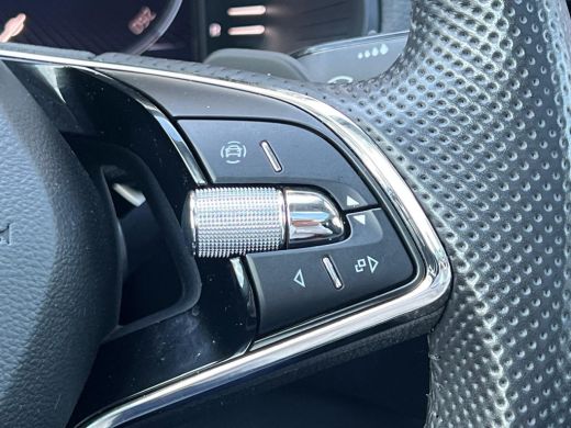 Skoda Karoq 1.5 TSI 150 pk ACT Business Edition 7-DSG | Panoramadak | Achteruitrijcamera | Apple carplay | ActivLease financial lease