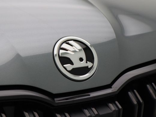 Skoda Kamiq 1.0 TSi 115 Pk Automaat | Trekhaak | Camera | Stoel Verwarming | Elektrische Achterklep | Carplay... ActivLease financial lease