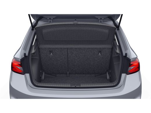 Skoda Fabia Business Edition | Achteruitrijcamera | Chromen raamlijsten | Cruise control met speedlimiter ActivLease financial lease