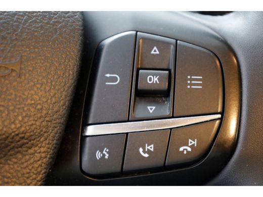 Ford Transit Custom 300 2.0 TDCI 130pk L1H1 Trail LED/Camera/Navi/Leder int 05-2023 ActivLease financial lease