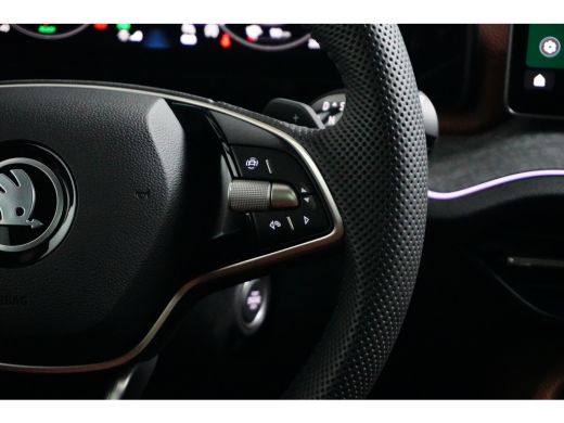 Skoda Kodiaq 1.5 TSI PHEV 204PK DSG-6 Business Edition | TREKHAAK | LEDER | PANORAMADAK | NAVIGATIE | STOELVER... ActivLease financial lease