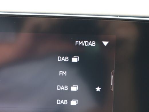 Skoda Octavia Combi 1.0 e-TSI Business Edition DAB NAVI CLIMA CUISE ActivLease financial lease