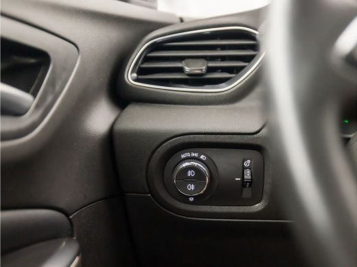 Opel Grandland X 1.2 Turbo Executive Sport (APPLE CARPLAY, GROOT NAVI, STUUR/STOELVERWARMING, LEDER, SPORTSTOELEN,... ActivLease financial lease