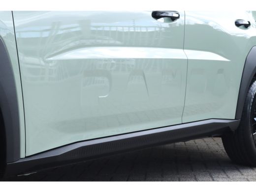 Fiat Panda Icon | Achterspoiler | Cruise Control incl. speed limiter | Lane Keeping Assist (LKA) ActivLease financial lease
