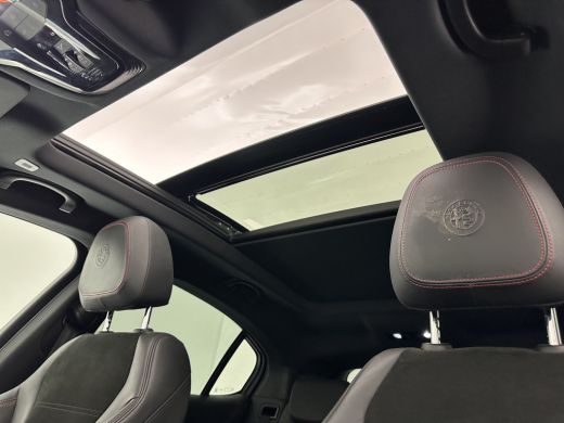 Alfa Romeo Stelvio 2.9 V6 AWD Quadrifoglio (INCL-BTW) Aut. *PANO | LEATHER-ALCANTARA | XENON | ADAPTIVE-CRUISE | BLI... ActivLease financial lease