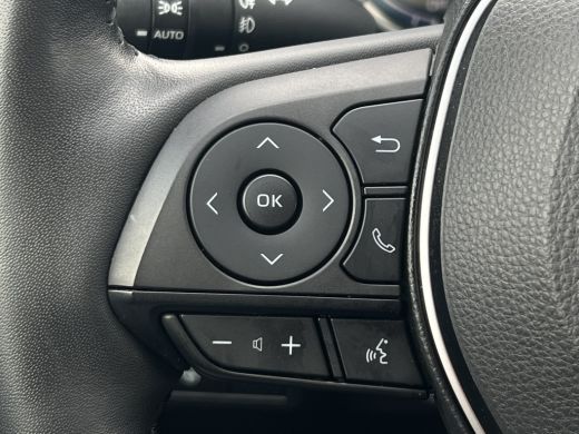 Toyota RAV4 2.5 Hybrid AWD Executive Bi-Tone | Trekhaak | JBL Audio | Camera | Dodehoek ActivLease financial lease