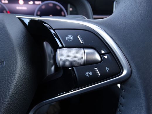 Skoda Kamiq Business Edition | Achteruitrijcamera | Chromen raamlijsten | Cruise control met speedlimiter ActivLease financial lease