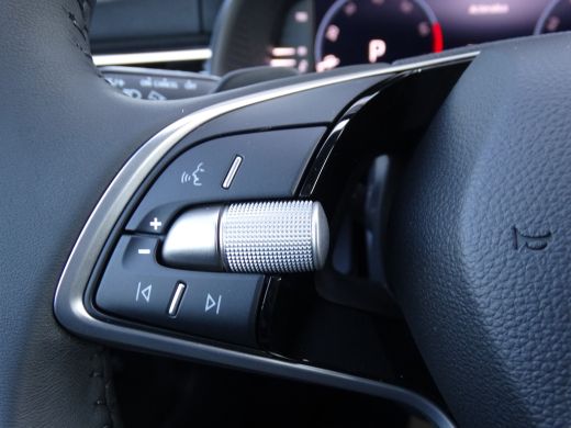 Skoda Kamiq Business Edition | Achteruitrijcamera | Chromen raamlijsten | Cruise control met speedlimiter ActivLease financial lease