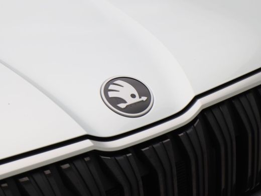 Skoda Kodiaq Business Edition 1.5 TSi 150 Pk Automaat | Full LED Matrix | Adaptive cruise control | Achteruitr... ActivLease financial lease