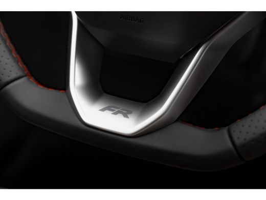 Seat Ibiza FR Business Connect | 17 inch lichtmetalen velgen, (7J x 17) | Achteruitrijcamera | Airconditioni... ActivLease financial lease
