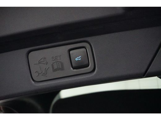 Ford Mustang Mach-E Mach-E Extended First Edition AWD 98 kWh | ALLE OPTIES! | Pano-dak | B&O audio | Technology pack ... ActivLease financial lease
