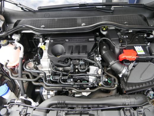 Ford Fiesta 1.0 EcoBoost Titanium | Winterpack | Half-Lederen Bekleding | CarPlay/Android Auto | Parkeersenso... ActivLease financial lease
