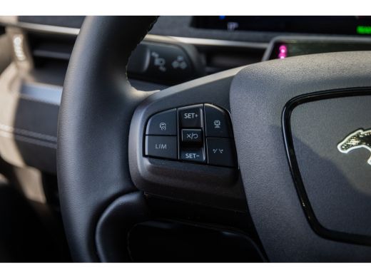 Ford Mustang Mach-E Mach-E GT Extended AWD 98 kWh | Cruise adaptief | 20'' | Alcantara | Apple Carplay/Android Auto |... ActivLease financial lease