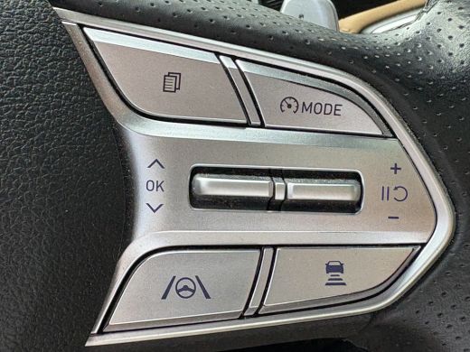 Hyundai Santa Fe 1.6 T-GDI PHEV 265pk AWD Premium Sky 7.P | 360 graden camera | Carplay | Premium Audio | Dodehoek... ActivLease financial lease