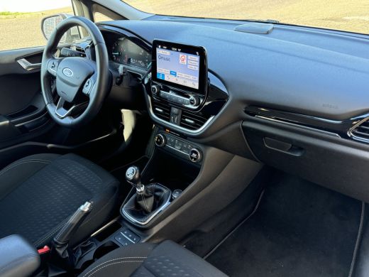 Ford Fiesta 1.0 EcoBoost Titanium Staat in Hardenberg ActivLease financial lease