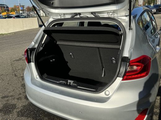 Ford Fiesta 1.0 EcoBoost Titanium Staat in Hardenberg ActivLease financial lease