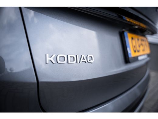 Skoda Kodiaq 1.5 TSI MHEV Business Edition 7p. | Trekhaak uitklapbaar | Vierseizoenen banden | Voorstoelen ver... ActivLease financial lease