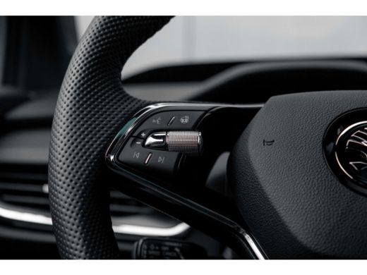Skoda Enyaq iV Sportline Panoramadak | 21"LMV | Business | direct beschikbaar! ActivLease financial lease