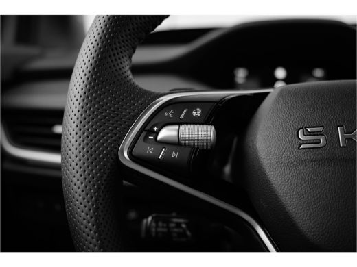 Skoda Enyaq iV iV 85 Sportline | Head-up | 21"velgen | 360 Camera | Trekhaak ActivLease financial lease