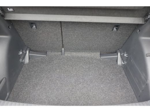 Skoda Fabia 95PK 1.0 TSI Business Edition | Achteruitrijcamera | Cruise control | Keyless start ActivLease financial lease