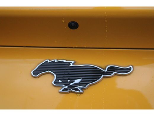 Ford Mustang Mach-E Mach-E Extended RWD 98 kWh | Camera | Adapt. Cruise | Leder | Standkachel | 100% Dealer Onderhouden! ActivLease financial lease