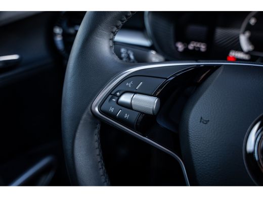 Skoda Fabia 1.0 TSI Business Edition | Achteruitrijcamera | Airco (automatisch) | Cruise control adaptief ActivLease financial lease