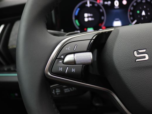 Skoda Kodiaq 1.5 TSI PHEV Business Edition 204PK DSG Pano-Schuifdak, Matrix LED-verlichting, Keyless, Side Ass... ActivLease financial lease