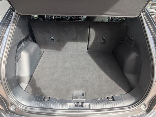 Ford Kuga 2.5 PHEV Titanium 225pk | Winter Pack | Keyless | Adap. Cruise | Navi | Carplay | Dealeronderhouden ActivLease financial lease