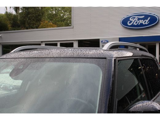 Mini Countryman 2.0 Cooper S E ALL4 | NL-AUTO! | 1 EIGENAAR! | STOELVERWARMING | LEDER | LED | PARK SENS V+A | DE... ActivLease financial lease