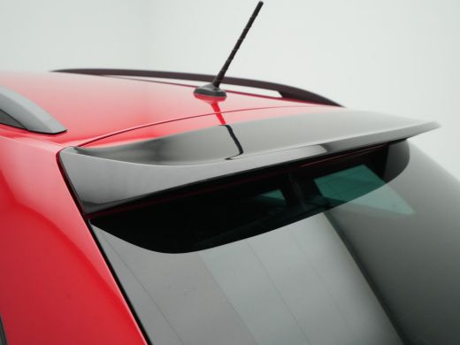 Skoda Fabia Combi 1.0 TSI 110pk DSG Monte Carlo Navigatie Stoelverwarming Clima Led 235 ActivLease financial lease