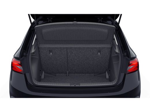 Skoda Fabia Business Edition | Achteruitrijcamera | Chromen raamlijsten | Cruise control met speedlimiter ActivLease financial lease