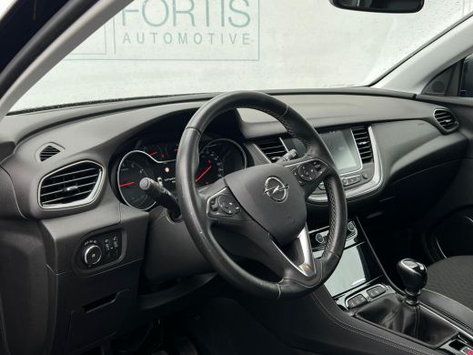 Opel Grandland X 1.2 Turbo Business Executive NL AUTO | CAMERA | CRUISE | 1\2 LEDER ActivLease financial lease