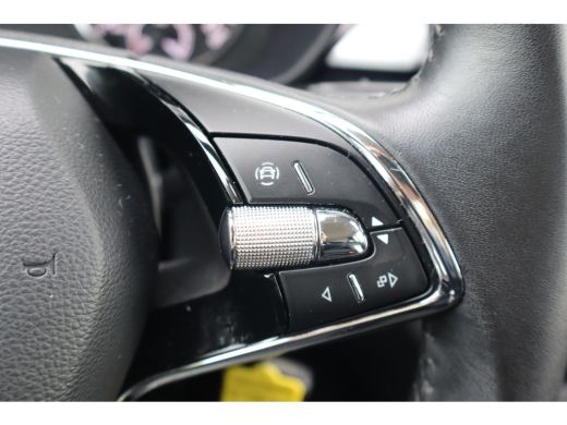 Skoda Fabia 110PK 1.0 TSI Ambition AUTOMAAT | Airco | Apple Carplay/Android Auto|telefoonintegratie premium |... ActivLease financial lease