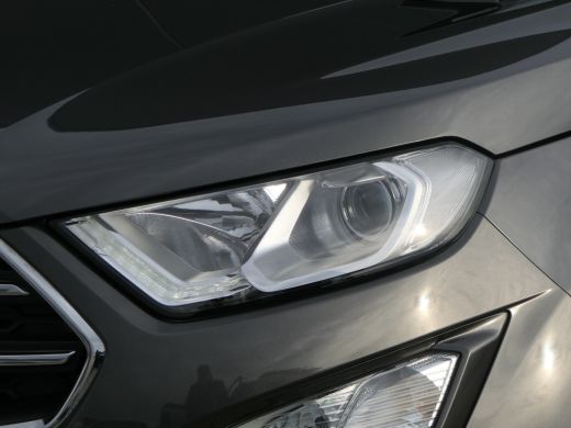 Ford EcoSport 1.0 EcoBoost Titanium | Half-Lederen Bekleding | CarPlay/Android Auto | Parkeersensoren | Bluetoo... ActivLease financial lease