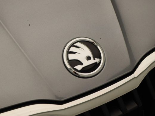 Skoda Fabia 1.0 TSi Active | Airco | Cruise Controle | CarPlay | Multifunctioneel Stuurwiel | Elektrisch Pakk... ActivLease financial lease