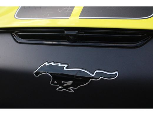 Ford Mustang Mach-E Mach-E 98kWh Exended Ranget AWD Rally Edition AUTOMATIC ActivLease financial lease