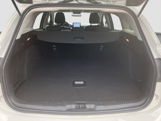 Ford Focus 1.0 E.B. 125 PK Titanium Business AGR-Stoel | Winter-pack | Matrix LED verlichting | Style Pack |... ActivLease financial lease