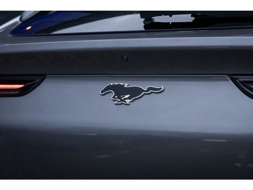 Ford Mustang Mach-E Mach-E Extended First Edition AWD 98 kWh ALLE OPTIES! | Pano-dak | B&O audio | Technology pack + ... ActivLease financial lease