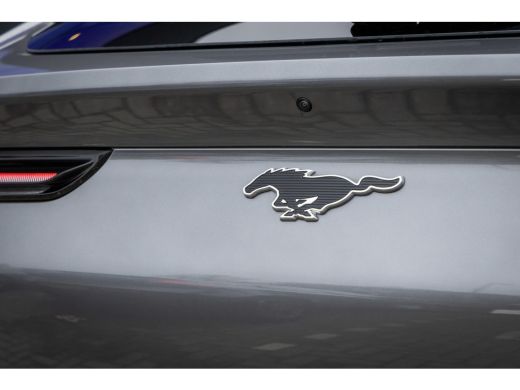 Ford Mustang Mach-E Mach-E Extended Premium RWD 98 kWh Technology Pack+ | B&O Audio | 360 Camera | Memory Seats | Ada... ActivLease financial lease