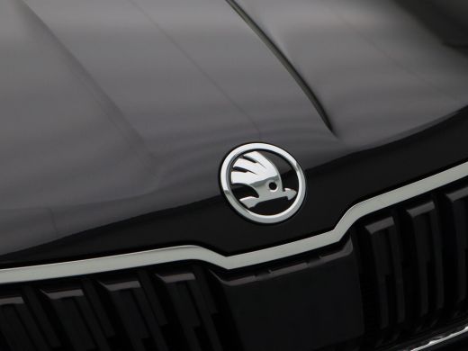 Skoda Karoq 1.5 TSi 150 Pk Automaat Style Business | Panoramadak | Trekhaak | Canton Audio | Adaptive Cruise ... ActivLease financial lease