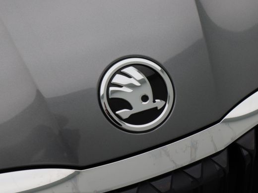 Skoda Octavia Combi 1.4 TSi 204 Pk Automaat iV PHEV Business edition | Cruise Control | Virtual Cockpit | Carpl... ActivLease financial lease
