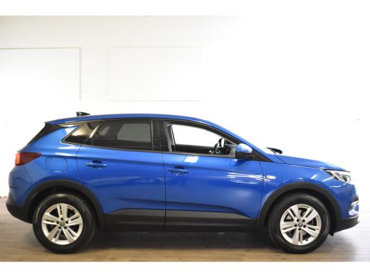 Opel Grandland X 1.2 TURBO BUSINESS EDITION NAVI/CARPLAY/PDC ActivLease financial lease