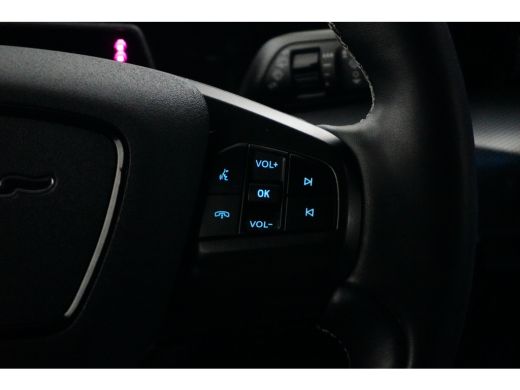 Ford Mustang Mach-E Mach-E GT Extended AWD 98 kWh Magne-Ride Onderstel | Standkachel | B&O audio | Memory Stoel | Ada... ActivLease financial lease