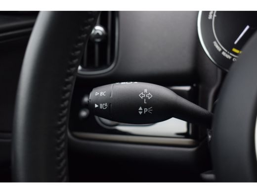 Mini Countryman 2.0 Cooper S E ALL4 Chili | Pano | Half Leer | H/K | HUD | Apple CarPlay ActivLease financial lease