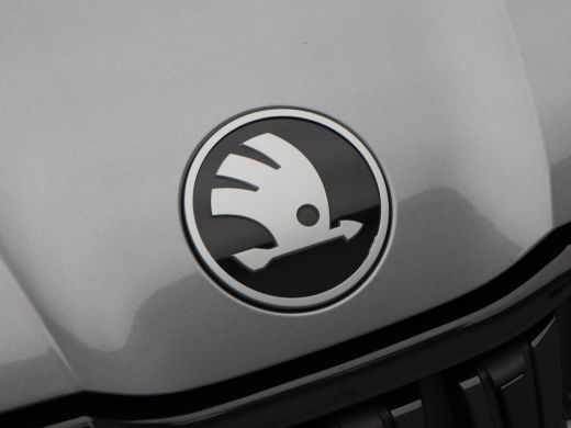 Skoda Kodiaq 1.5 TSi 204 Pk Automaat PHEV Sportline Business | Canton Audio | Panoramadak | Elektrische Stoele... ActivLease financial lease